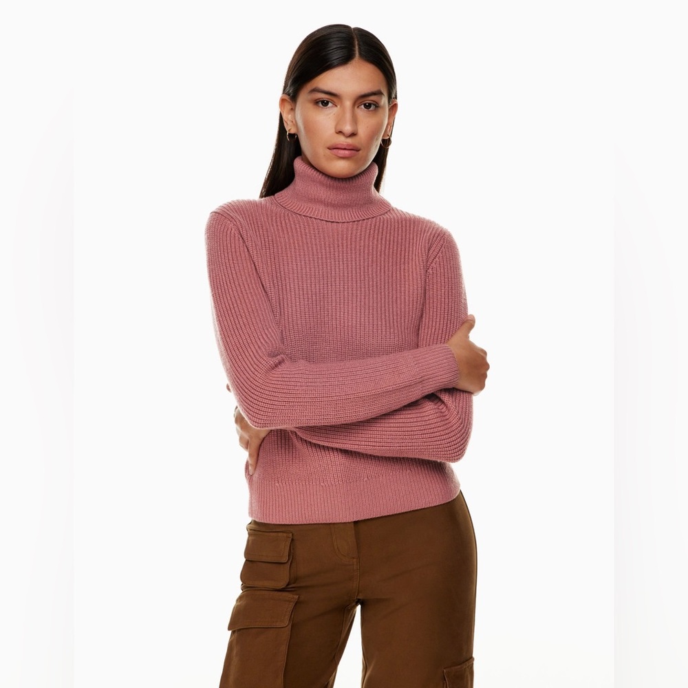 Aritzia Wilfred Laurel turtleneck sweater